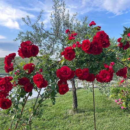 Masso Alle Rose Di Santarsiero Serena Монтайоне Екстер'єр фото